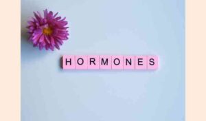 Hormone Health 101 whatsapp image 2025 12 04 at 12.00.22 pm